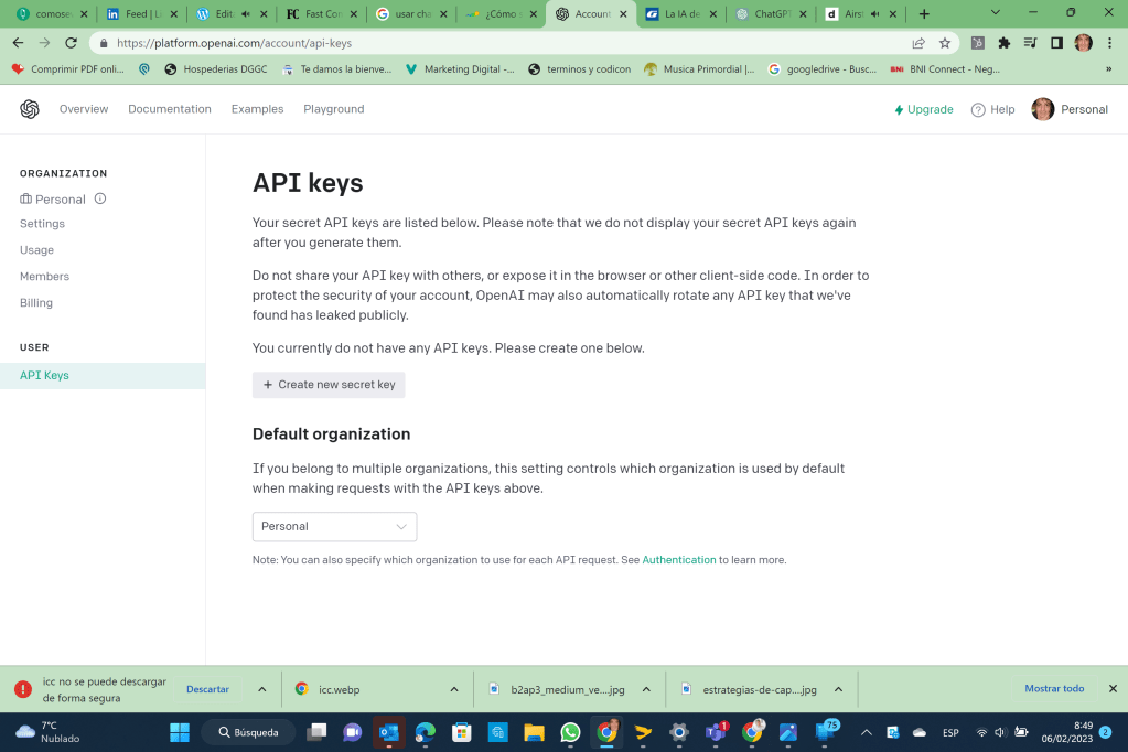 captura pantalla de api key de ChatGPT