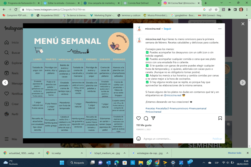 ejemplo de feed de instagram de @micocina.real